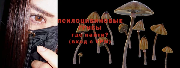 гидропоника Балахна