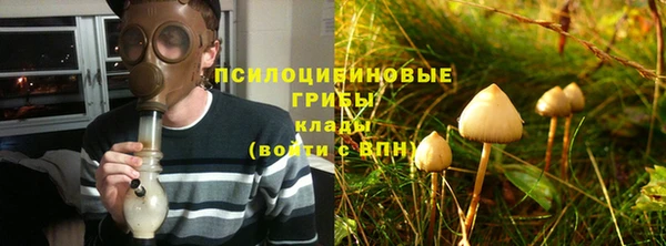 гидропоника Балахна