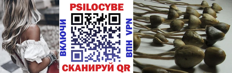 где продают наркотики  Ясный  KRAKEN ссылка  Псилоцибиновые грибы MAGIC MUSHROOMS 